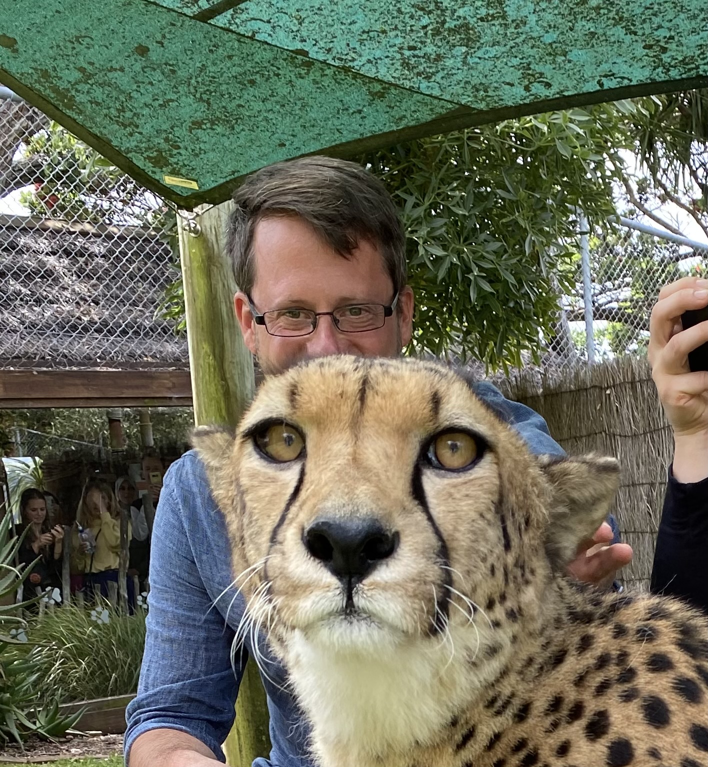 Cheetah and me